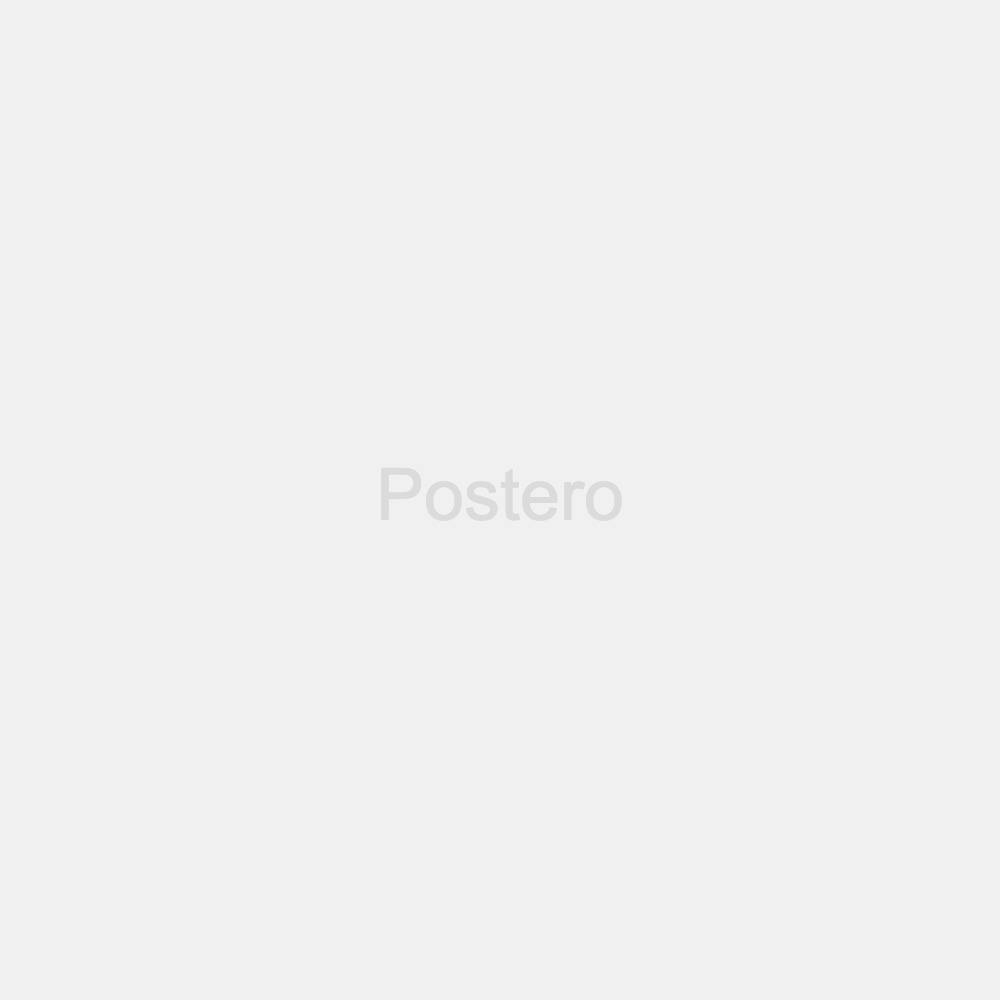 Abstract Color Poster